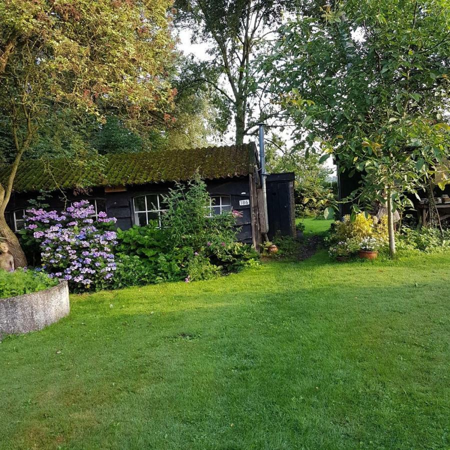 Boerderij Met Atelier Casa de hóspedes Dalfsen Exterior foto